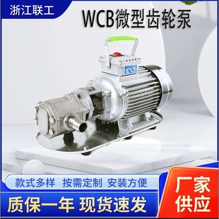 WCB微型齒輪油泵便攜式 手提油泵220V防爆家用齒輪油泵