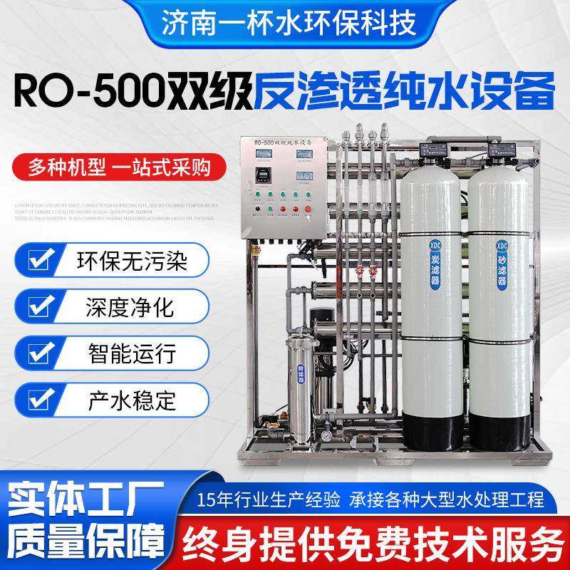 水处理设备源头工厂净水设备纯净水 RO-500双级反渗透纯水设备