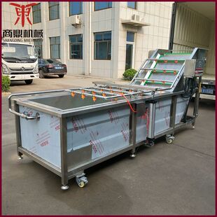 大枣清洗机 清洗机 厂家供应 菠菜气泡式 多功能清洗机