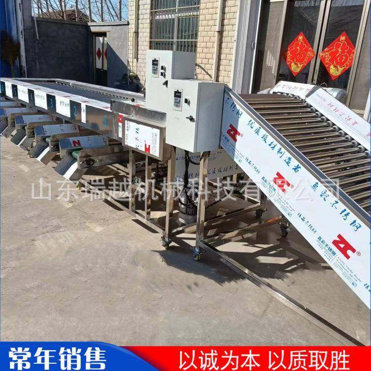 商用洋葱胡萝卜分拣设备 工业马铃薯筛选机 多功能圣女果选果机,清洗/食品/商业设备,肉制品加工设备,淘宝优惠券,粉丝福利购,淘宝优惠卷