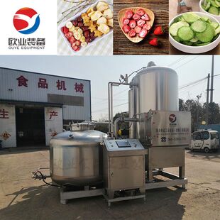 商用果蔬脆片低温油炸机 苹果片低温真空油炸机 香蕉片真空油炸机