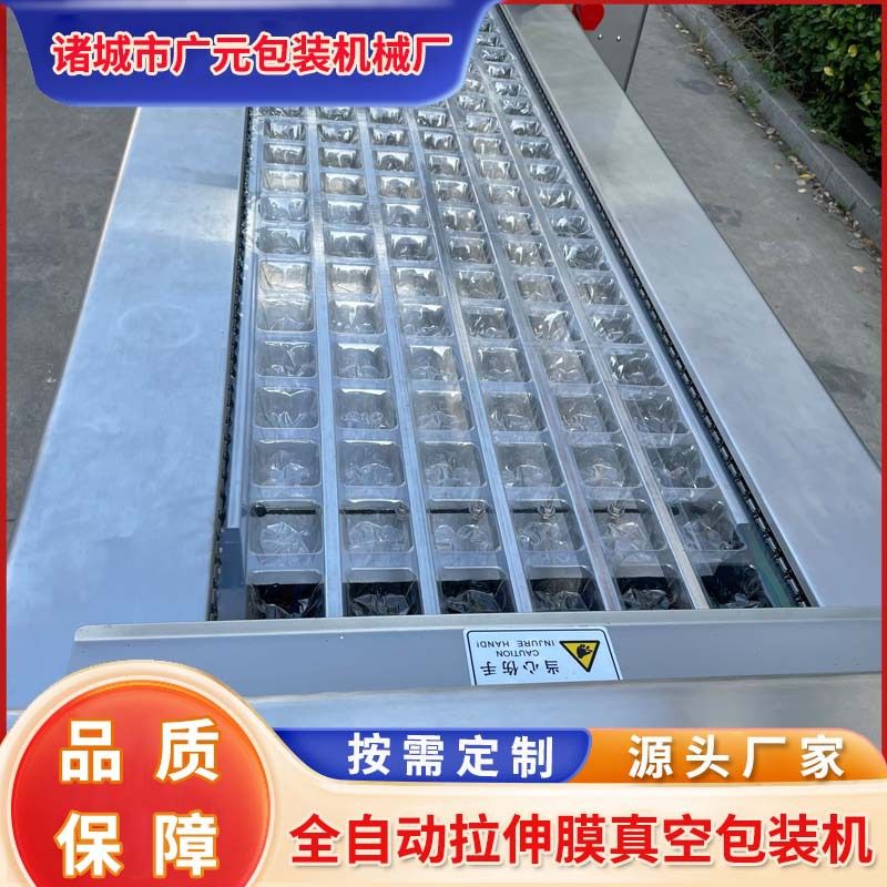 冻干银耳糯米羹封口机 大型工厂商用真空机 牛排拉伸膜真空包装机