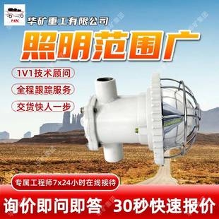 高亮照程远LED巷道灯适配性强DHS3/4.2L矿用本安型LED巷道灯