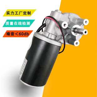 防水微型电动机涡轮蜗杆直流减速电机 厂家定制24v大扭矩减速电机