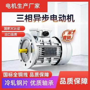 750W鋁殼立式 三相異步電機(jī)YS90 250 370 B5感應(yīng)電動(dòng)機(jī)1400轉(zhuǎn)低速