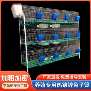 养殖笼9位12位种兔笼免清粪兔子笼子母笼加粗加密热浸镀锌子母兔
