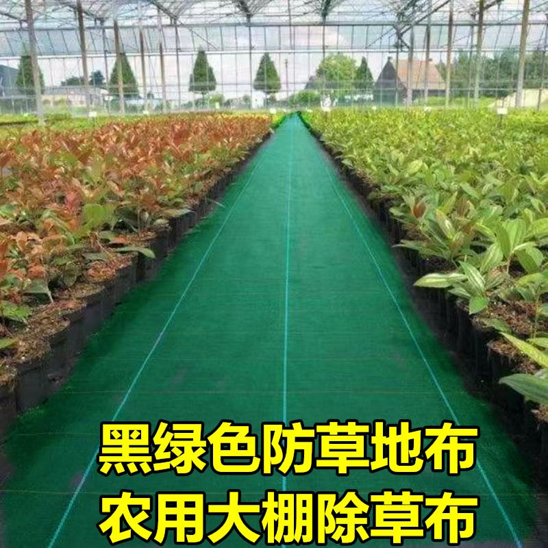 防草布除草布耐用黑绿色农用园艺地布加厚大棚庭院盖草布厂家直销