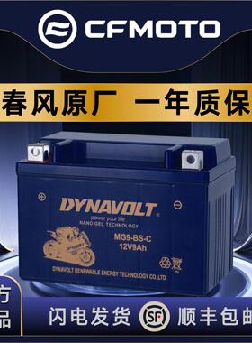 猛狮摩托车电瓶春风150NK狒狒250NK400NKGT650NKMT国宾700CLX800M