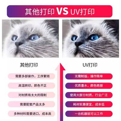 瑞丰彩白墨烫画机小型UV平板打印机服装衣服T恤数码直喷印花机器