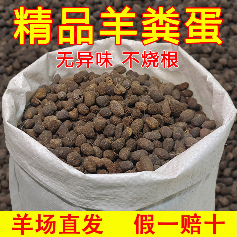 【干的】纯羊粪蛋蛋发酵