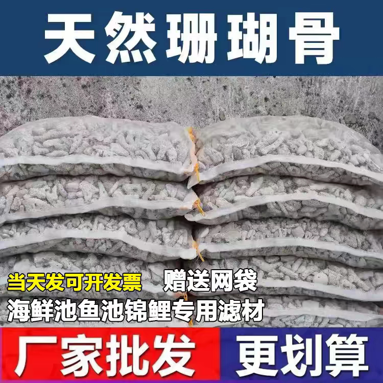 天然珊瑚骨滤材鱼缸底滤