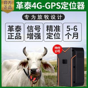 革泰牛羊定位器gps卫星北斗山区放牧马追踪神器超长待机远程10号
