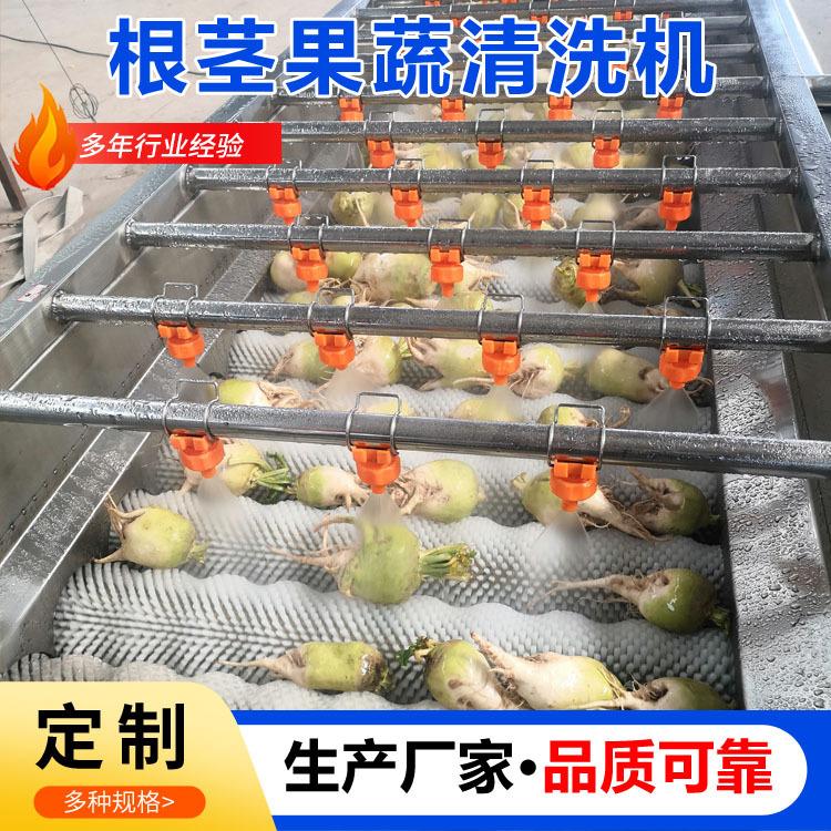 定制根茎类果蔬毛辊清洗机胡萝卜毛刷清洗机白萝卜清洗机不伤表皮