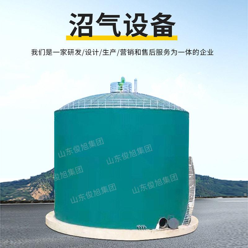 沼气湿法脱硫设备湿法 沼气脱硫 沼气干法脱硫 沼气干法脱硫设备