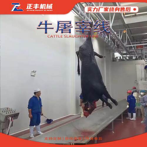 定制全自动大型牛屠宰加工流水线自动化牛宰杀线肥牛屠宰设备厂家