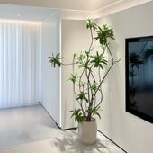 海虹景品百合竹彷真绿色植物室内客厅彷生假树高端轻奢花大型落地