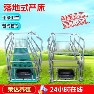 落地式母猪产床简易单体产床母猪定位栏产床猪用落地式产床