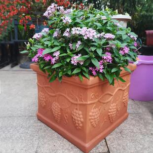 包邮红陶花盆园艺方盆长方形长条欧式阳台种菜粗陶盆特大号陶土盆