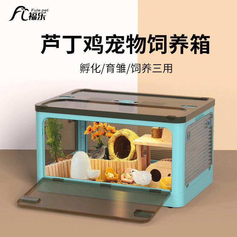 芦丁鸡饲养箱全套宠物用品鹦鹉鸟笼鹌鹑笼子造景专用保温恒温育雏