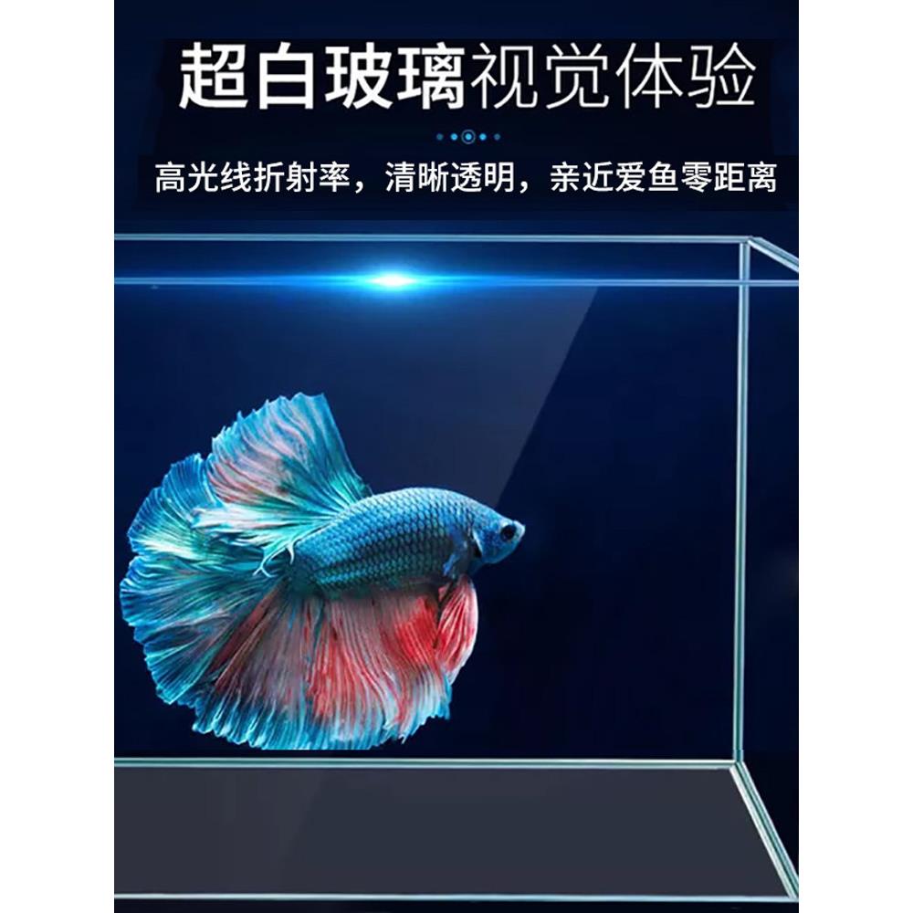 鱼缸客厅中小型水族定制金水晶超白玻璃矩形水族植物龟缸景观鱼缸