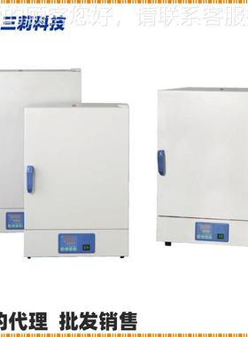 G上海DDHG-9141H-9201A对自然流干燥箱恒 DHG-9141A自然对流温烘