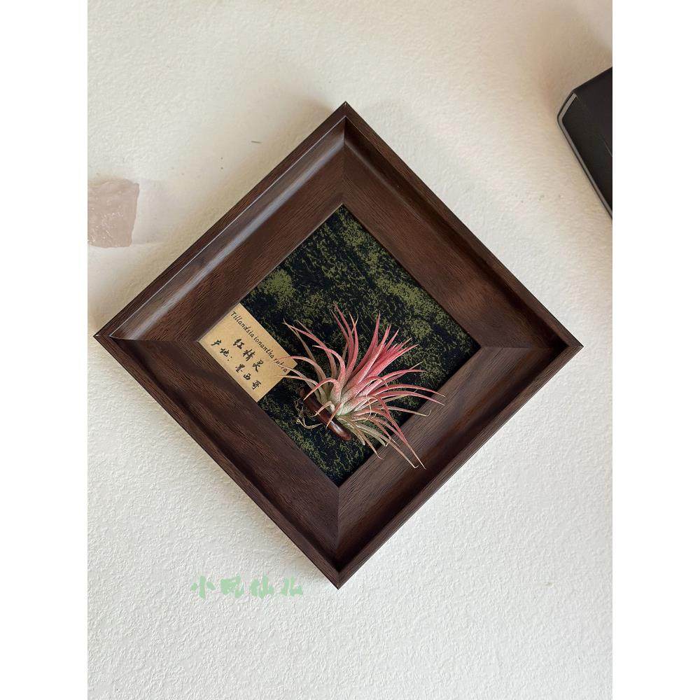 ins空气凤梨套餐磁吸现代装饰画框覆古桌面挂画软装深棕色相框5寸,鲜花速递/花卉仿真/绿植园艺,红掌/凤梨/温室花卉,淘宝优惠券,粉丝福利购,淘宝优惠卷