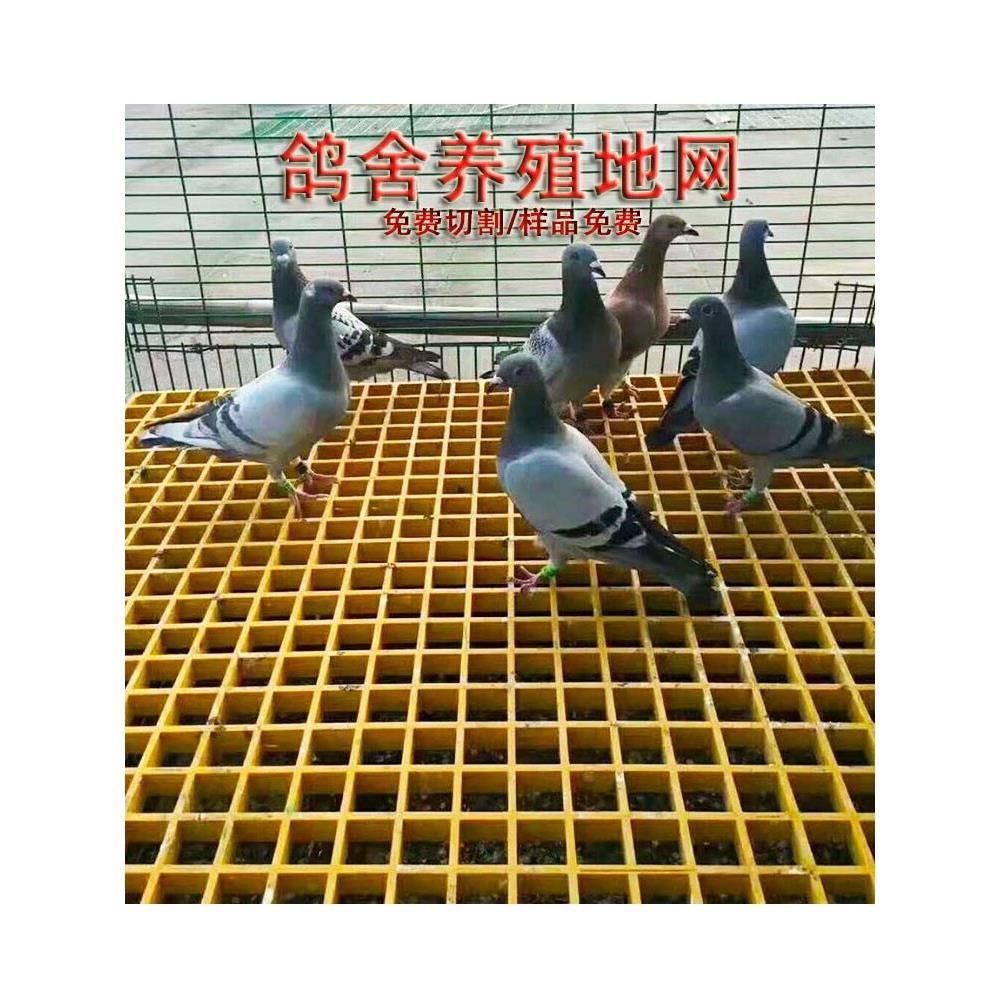 玻璃钢格栅 养鸽子专用小孔地网格 养殖漏粪板可定制