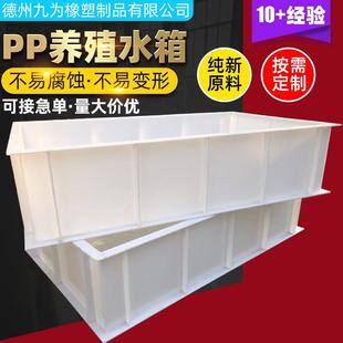 pp养殖水箱焊接污水处理池实验室电解槽酸洗槽聚丙烯水产养殖鱼箱