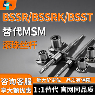 滚珠丝杆BSSR BSSRK BSST1002 1004 1010-150 200 250 300-10-5