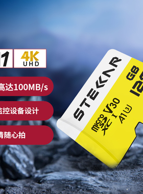 STELLAR朗盛 LT100 TF卡 行车记录仪手机 MicroSD监控 高速内存卡