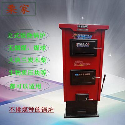 燃煤家用锅炉洁净煤立式反烧锅炉煤球多燃料水暖炉新款节能反烧炉