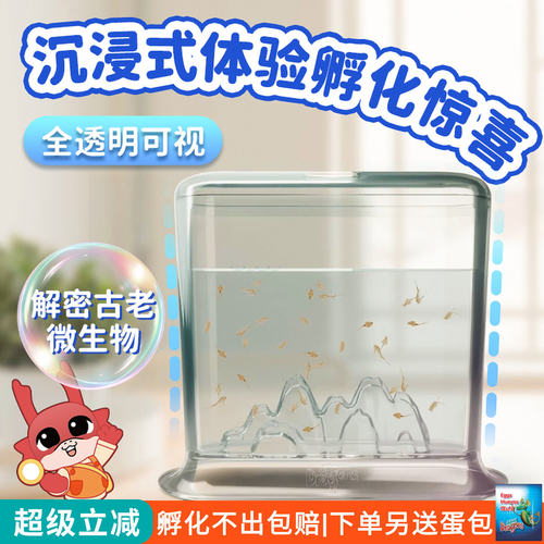 生物孵化实验教育观察儿童玩具