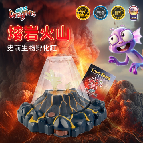 真水生物孵化套装儿童礼物