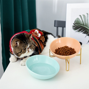 陶瓷斜口猫碗高脚保护颈椎猫粮碗猫咪狗猫盆饮水碗宠物用品陶瓷碗