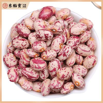 花芸豆 雀蛋豆 Chitra rajma 1kg Pinto beans