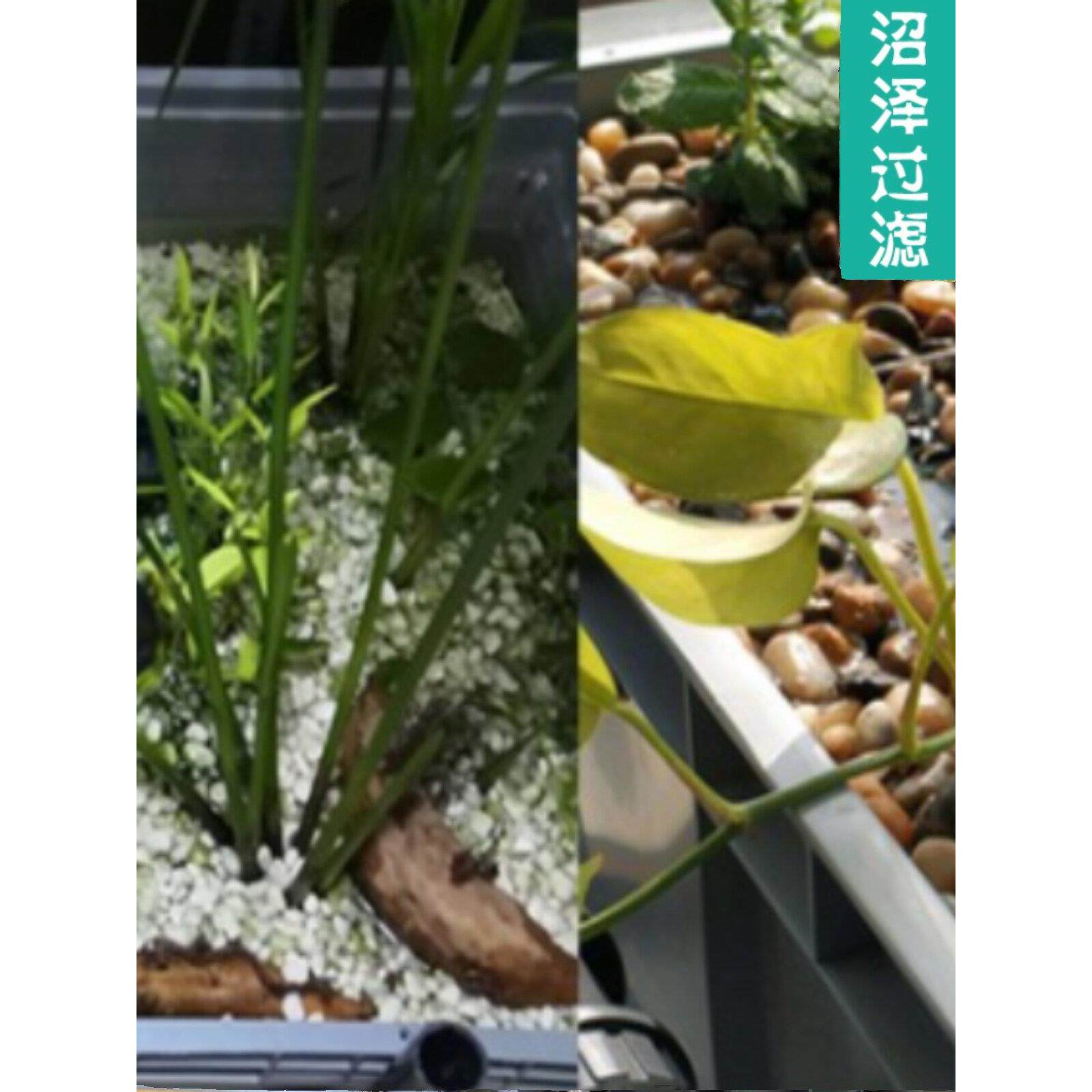 四川雨花石天然鹅卵石五彩小石子鱼缸石头沼泽过滤石滤料地暖豆石