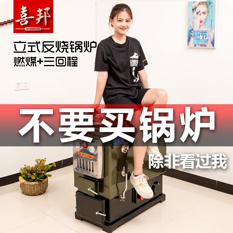 新型节能环保锅炉家用采暖炉地暖反烧小型燃煤水暖烧煤热水暖气小