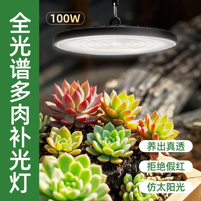 100w多肉植物补光灯彷太阳全光谱家用上色LED植物生长灯室内热植