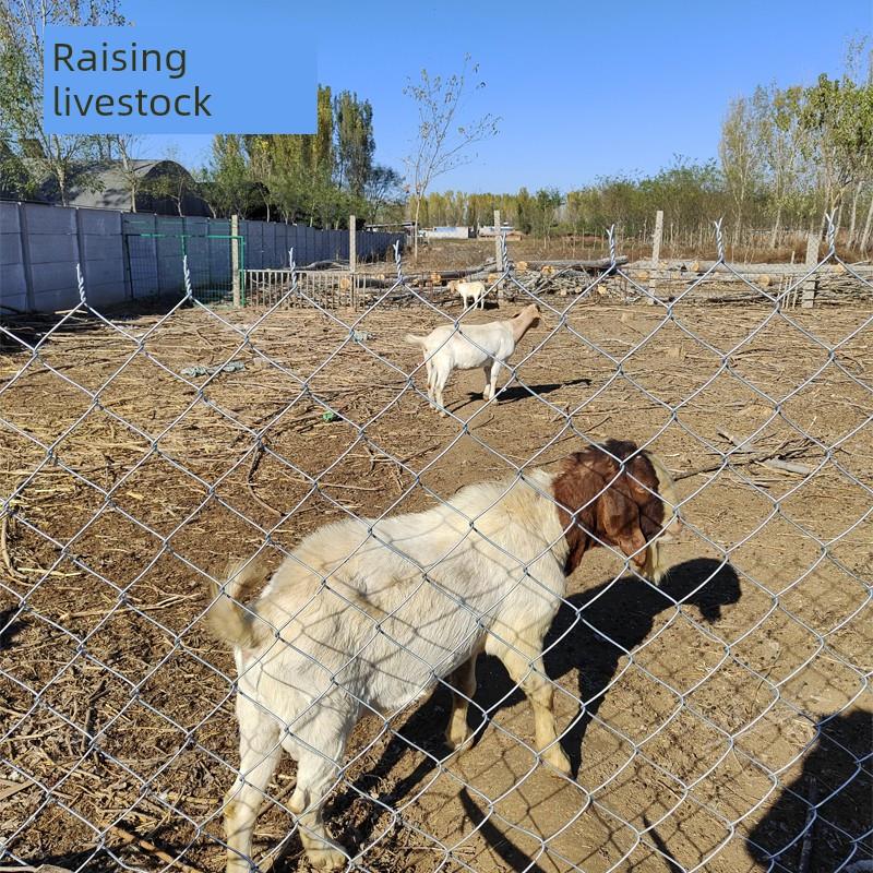 带刺铁丝防护网围栏镀锌钢丝网挂钩图案养殖网护栏狗牛羊猪菱形不