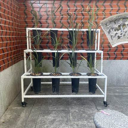 北欧兰花专用架子阳台客厅多层花盆架绿萝吊兰绿植架室内外置物架