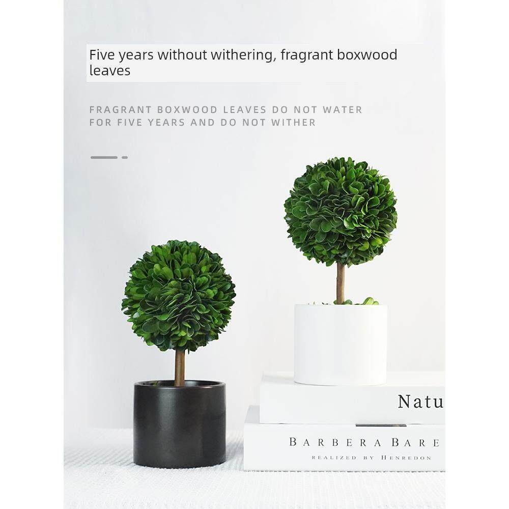 永生花盆栽办公室彷真绿植摆件卉植物室内客厅电视柜盆景桌面装饰