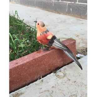 仿真羽毛斑鸠摆件道具影视道具教学演示装饰鸟园林装饰斑鸠模型