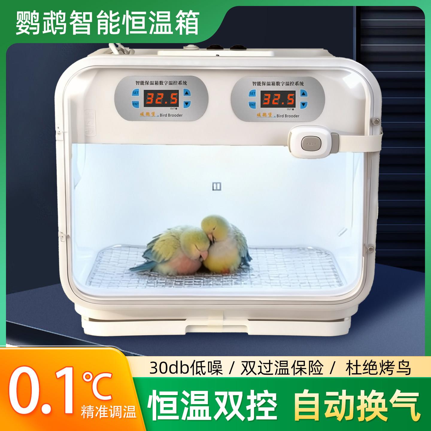 鹦鹉保温箱幼鸟专用雏鸟恒温过冬玄凤专用风暖育雏小型半毛成鸟图片