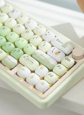 漫步猫QMK65三模无线蓝牙机械键盘女生办公静音ipad笔记本麻将音