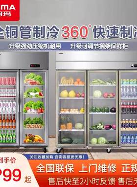 澳柯玛蔬菜保鲜柜超市商用水果冷藏展示柜饮料冷藏柜双门立式冰柜