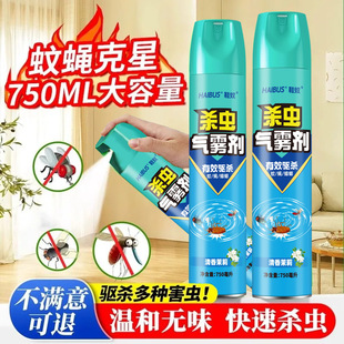 杀虫剂气雾剂家用室内除蚊防蚊蟑螂药苍蝇驱虫喷雾剂