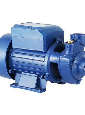 BQ60B70QB8V0自吸清水泵离心漩无品牌/Q涡清水泵12V220V110太阳能