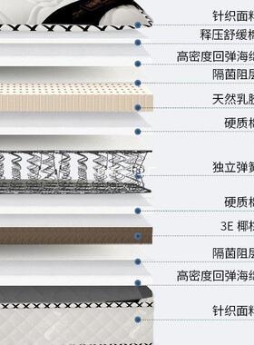 席梦思床软床硬两用20cm厚1.8米1.5垫m用双人经济型椰52633棕弹簧