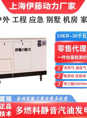 伊藤动力小体积大功率静音车YT30RSE载式汽油电机户外应急T15发2R