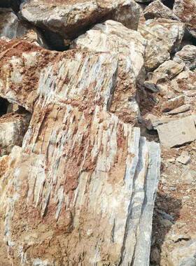 黄色千层石泰路山石型假石JSS-10山庭院置石边草丛摆放原石小造景